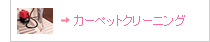 �J�[�y�b�g�N���[�j���O